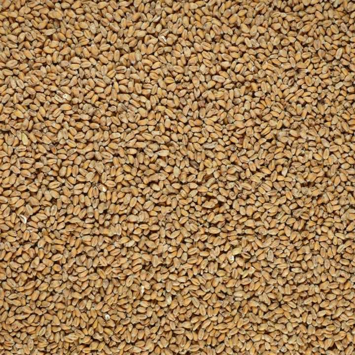 gladfield wheat malt