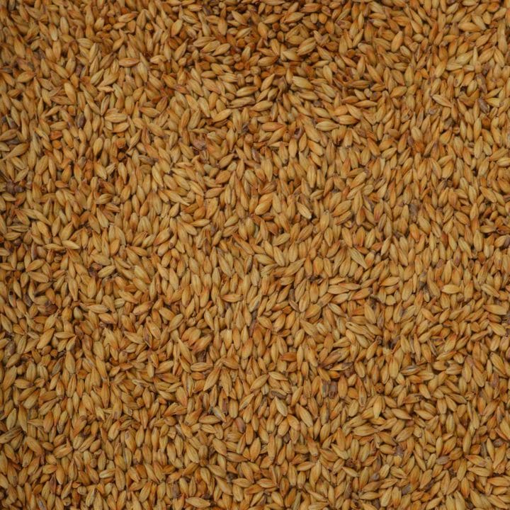 carahell weyermann malted barley